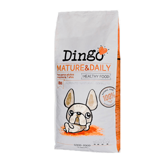 Dingo Mature & Daily