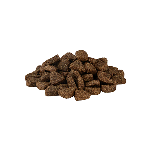 Weego Dog Food – Salmão & Maçã3